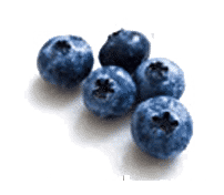 Blueberry gelato.