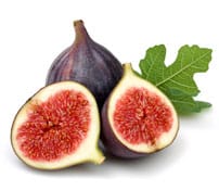 Fig Gelato.